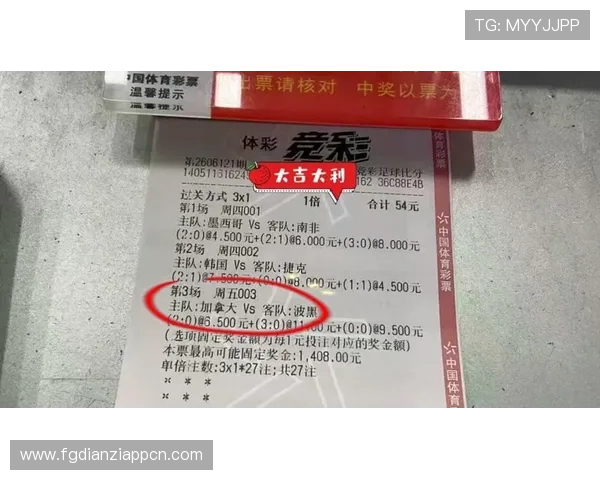 加拿大对波黑今晚比赛赛后点评：比赛精彩瞬间、球员表现与未来展望